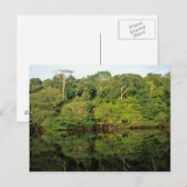 Carte Postale Anavilhanas, Amazonas, Brésil. Rainforest (Devant / Derrière)