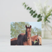 Carte Postale ANB Gotalil Gumption (Debout devant)