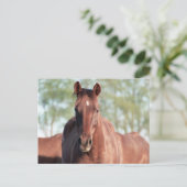 Carte Postale ANB Gottalil Gumption (Debout devant)