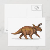 Carte Postale Anchicératops Dinosaur (Devant / Derrière)
