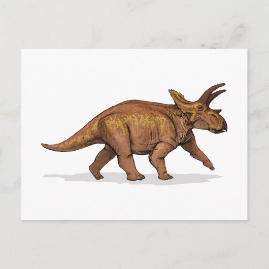 Carte Postale Anchicératops Dinosaur (Devant)