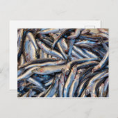 Carte Postale Anchois (Devant / Derrière)