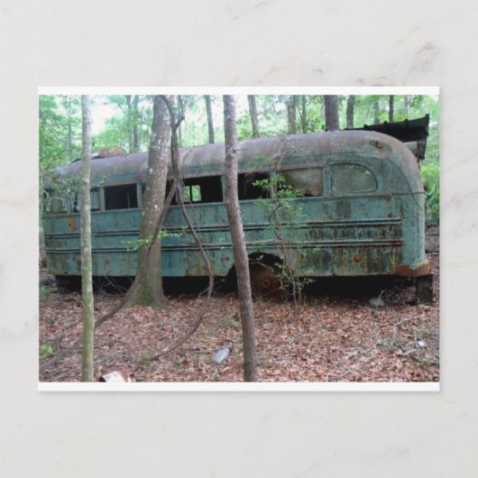 Carte Postale Ancien bus vert abandonné dans les bois (Devant)