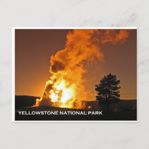 Carte Postale Ancien coucher de soleil fidèle