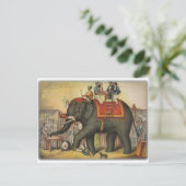 Carte Postale ancien éléphant (Debout devant)