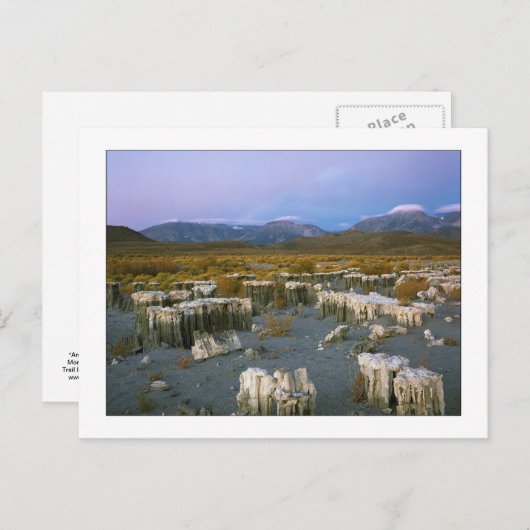 Carte Postale "Ancien filigrane" (Devant / Derrière)