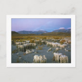 Carte Postale "Ancien filigrane" (Devant)