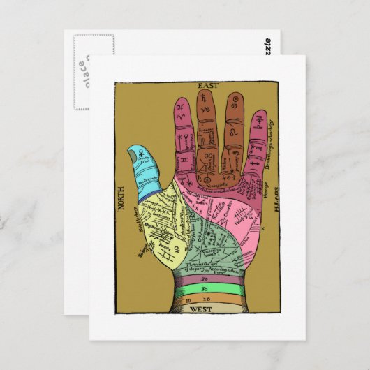 Carte Postale Ancien graphique de lecture de palme (Devant / Derrière)