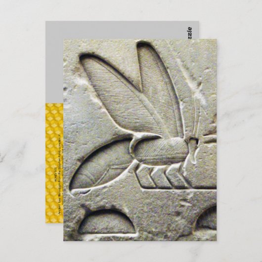 CARTE POSTALE ANCIEN NOIR BLANC ÉGYPTIEN HONEY BEE BEEKEEPER (Devant / Derrière)