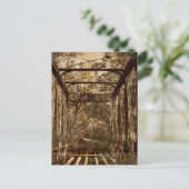 Carte Postale Ancien pont déserté (Debout devant)