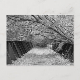 Carte Postale Ancien pont ferroviaire