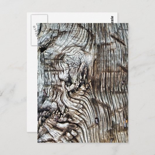 CARTE POSTALE ANCIENNE ANGLETERRE (Devant / Derrière)