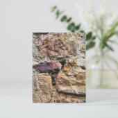 CARTE POSTALE ANCIENNE ANGLETERRE (Debout devant)