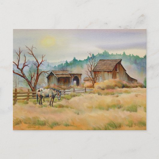 Carte Postale ANCIENNE BARN & APPALOOSA par SHARON SHARPE (Devant)