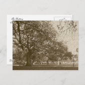 Carte Postale Ancienne batterie (Devant / Derrière)