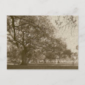 Carte Postale Ancienne batterie (Devant)