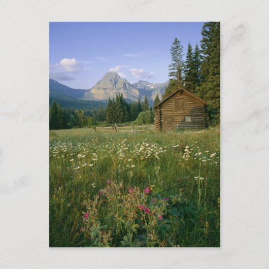 Carte Postale ancienne cabane du Service des parcs dans la vallé (Devant)