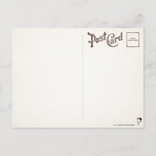 Carte postale ancienne de bébé coléoptère sur une (Dos)