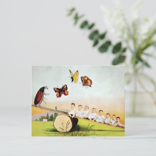 Carte postale ancienne de bébé coléoptère sur une (Debout devant)