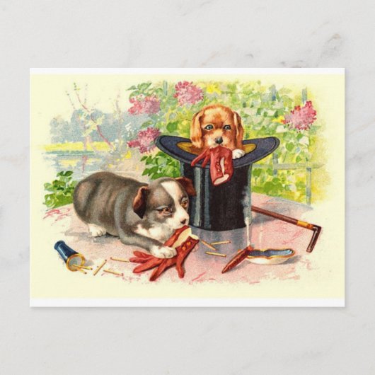 Carte postale ancienne de deux chiots mignons (Devant)