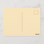 Carte postale ancienne des ours du parc Yellowston (Dos)