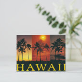Carte postale ancienne d'Hawaii (Debout devant)