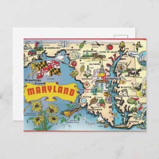 Carte postale ancienne du Maryland (Devant / Derrière)