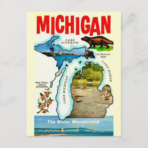 Carte postale ancienne du Michigan State