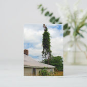 Carte Postale Ancienne ferme (Debout devant)