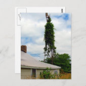 Carte Postale Ancienne ferme (Devant / Derrière)