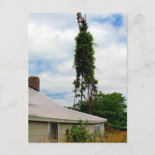 Carte Postale Ancienne ferme (Devant)