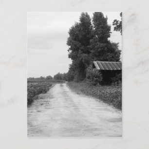 Carte Postale Ancienne grange d'immeuble en Caroline du Nord