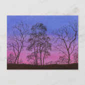 Carte Postale Ancienne ligne de clôture (Devant)