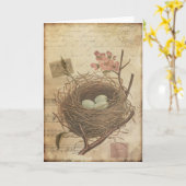 Carte postale ancienne Nid d'oiseau et oeufs (Fleur jaune)