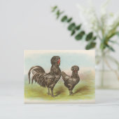 Carte postale ancienne "Poules Houdan" (Debout devant)