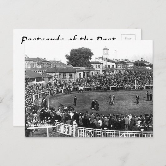 Carte postale ancienne - The Paddock, Hippodrome d (Devant / Derrière)