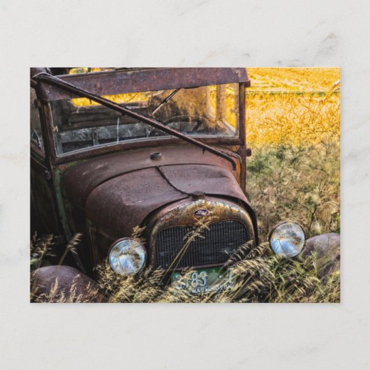 Carte Postale Ancienne voiture abandonnée en herbe haute (Devant)