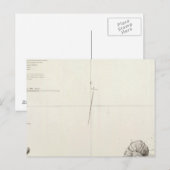 Carte Postale Ancon Pérou (Devant / Derrière)