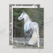 Carte Postale Andalou 2 (Devant / Derrière)