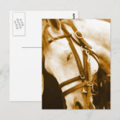 Carte postale andalouse (Devant / Derrière)