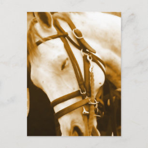 Carte postale andalouse