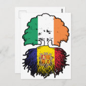 Carte Postale Andorre Andorre Irlande Irlande Arbre Drapeau (Devant / Derrière)