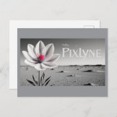 Carte Postale Andrew Goodchild Post Card (Devant / Derrière)