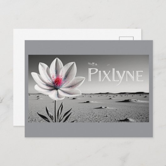 Carte Postale Andrew Goodchild Post Card (Devant / Derrière)