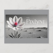 Carte Postale Andrew Goodchild Post Card (Devant)