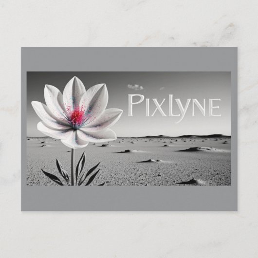 Carte Postale Andrew Goodchild Post Card (Devant)