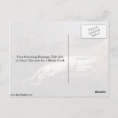 Carte Postale Andromède Chainé À Rock Par Rembrandt Van Rijn (Dos)