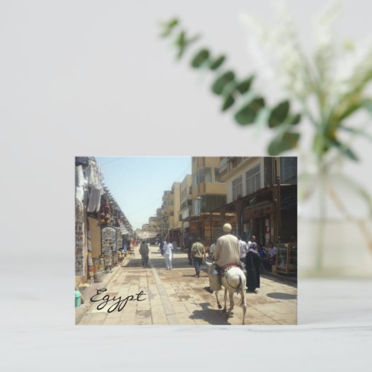 Carte Postale âne aswan (Debout devant)