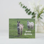 Carte Postale Âne Brun Tan Photo Animal Anniversaire (Debout devant)