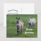 Carte Postale Âne Brun Tan Photo Animal Anniversaire (Devant / Derrière)